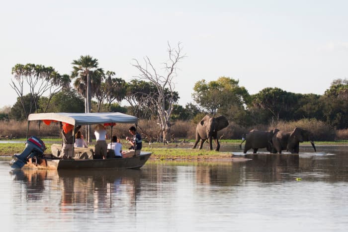 Tourists approach a herd of elephants on a boat safari, Selous