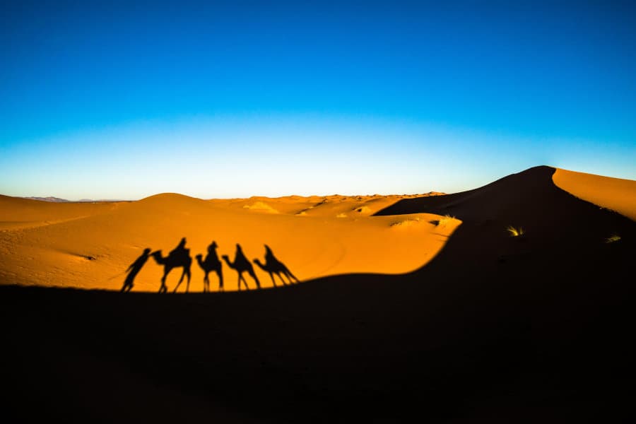 Camel shadows on the sand, Morocco