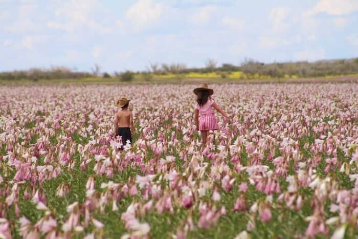 Two kids enjoying the Sandhoff lilies in full bloom