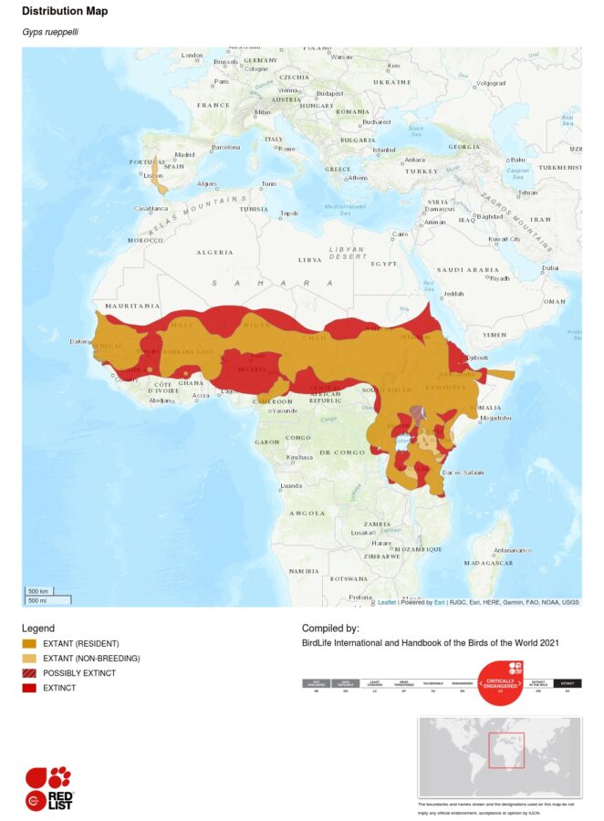 Gyps rueppelli distribution map - IUCN Red List