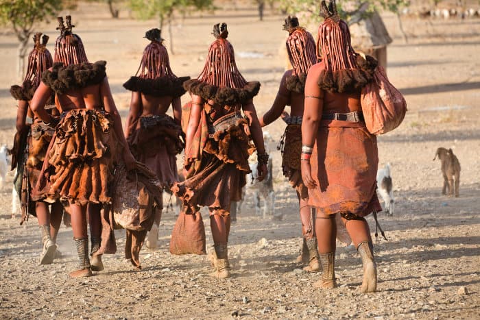 A group of himba women return to their village after a long day of work