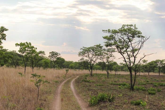 Road track in Kafue National Park, Zambia