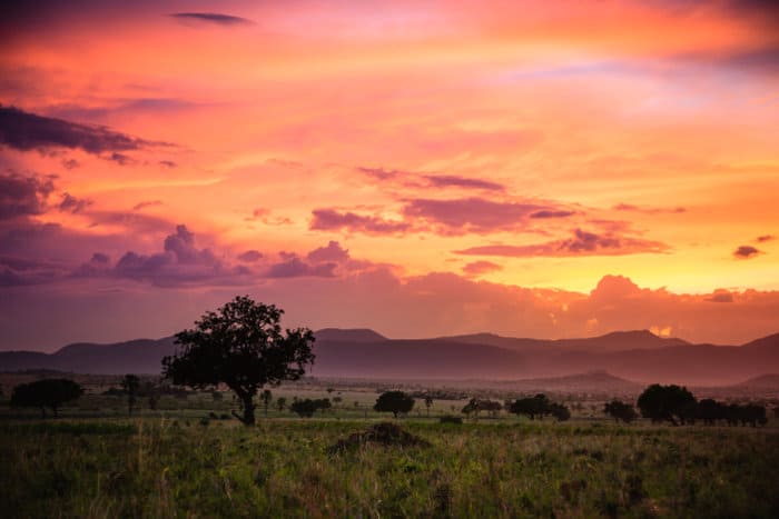 Kidepo Valley National Park at sunset, Uganda