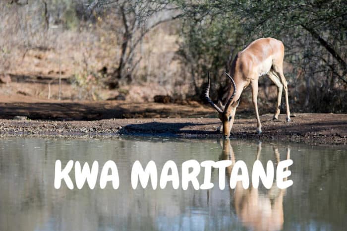 Kwa Maritane waterhole live cam