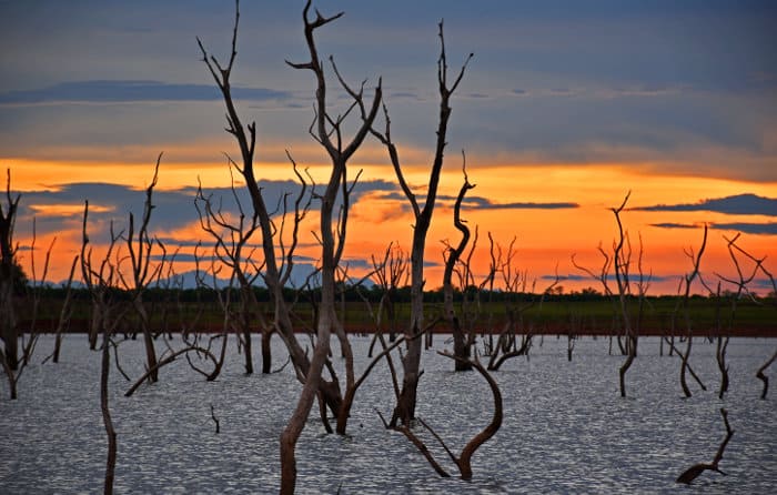 Dead trees in the water with stunning sunset in the background, Lake Kariba, Zimbabwe