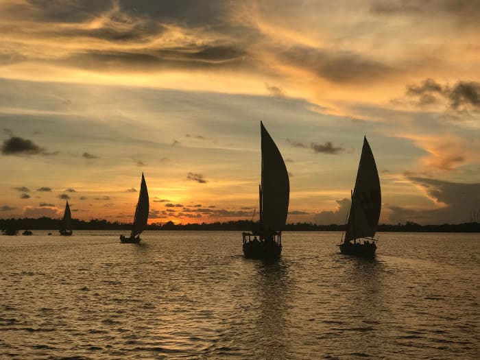 Dhow sailboats at sunset on the island of Lamu