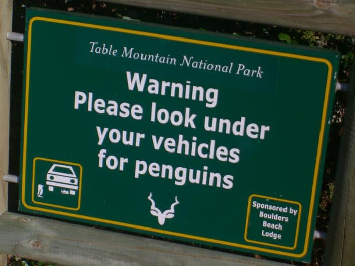 Warning sign at Boulders Beach - 