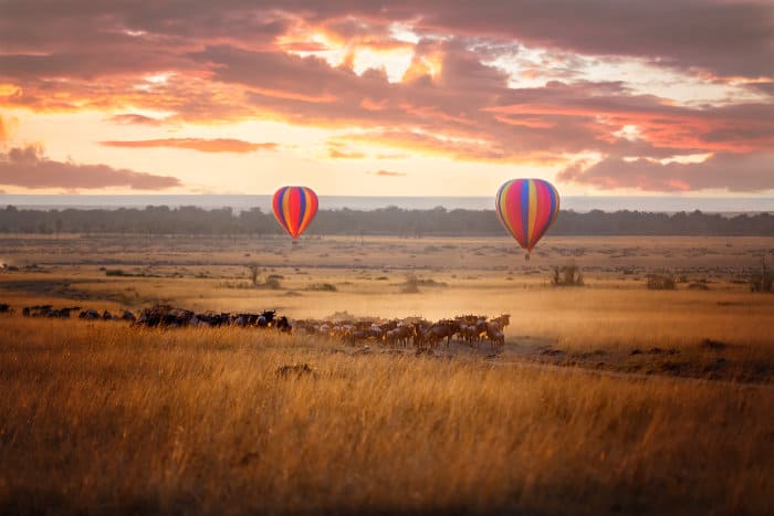 Sunrise over the Masai Mara, with a pair of coloured hot air balloons and a herd of wildebeest below