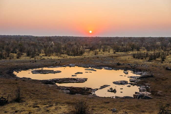 Moringa waterhole at sunset, near the Halali Camp