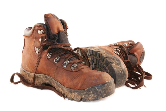 Sturdy walking boots are only essential on safari walks