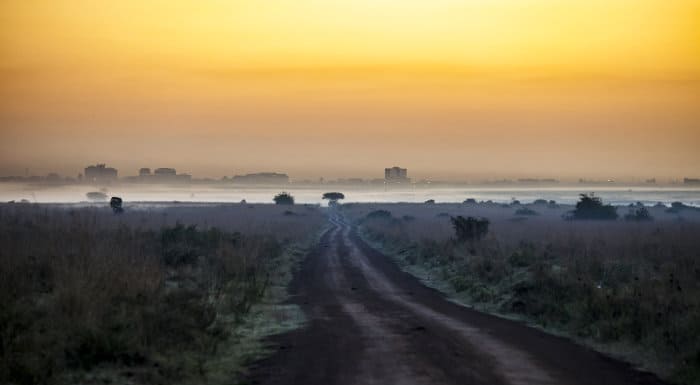 Nairobi National Park at dawn