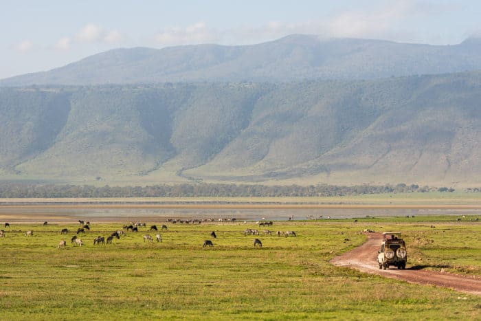 Typical wildlife scene on a Ngorongoro safari experience