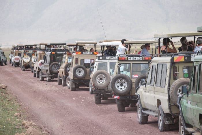 Ngorongoro safari craze during peak hours