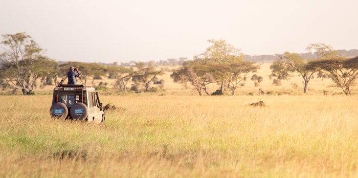 Off-roading in the Serengeti, in harmony with nature