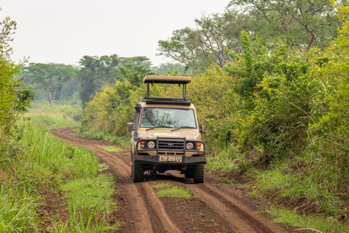 Quality safari in Queen Elizabeth National Park, Uganda