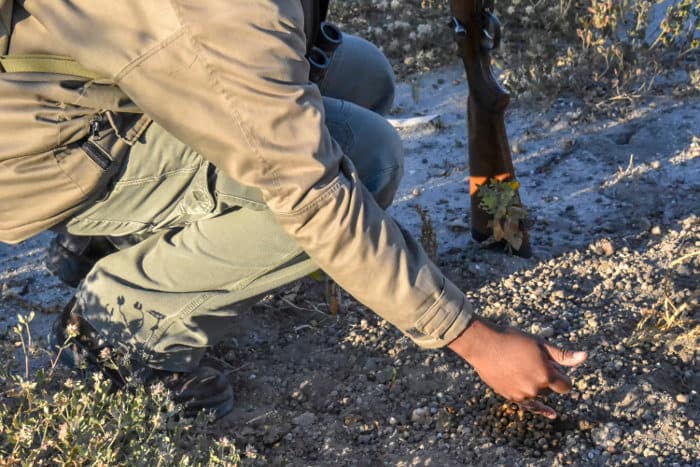 Ranger sharing his knowledge about impala droppings in Etosha, Namibia
