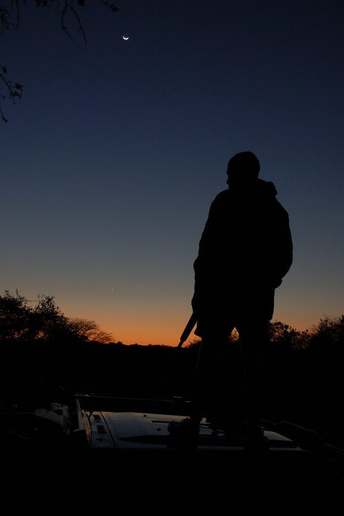 Game ranger silhouette at dusk