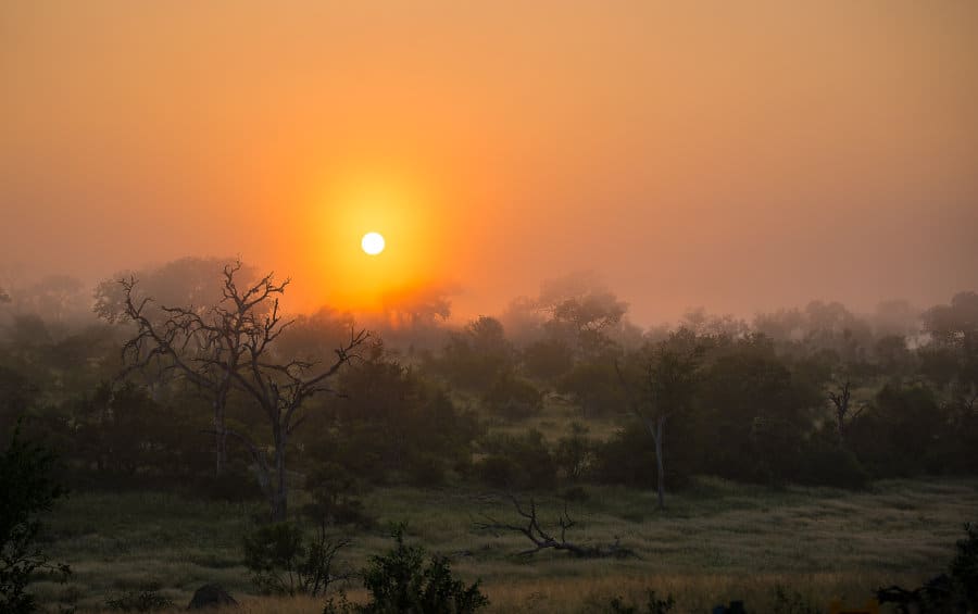 Magnificent sunrise in the Sabi Sands Game Reserve