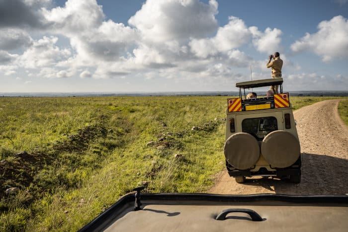Safari guide looking for wildlife from the top of his vehicle, Nairobi National Park