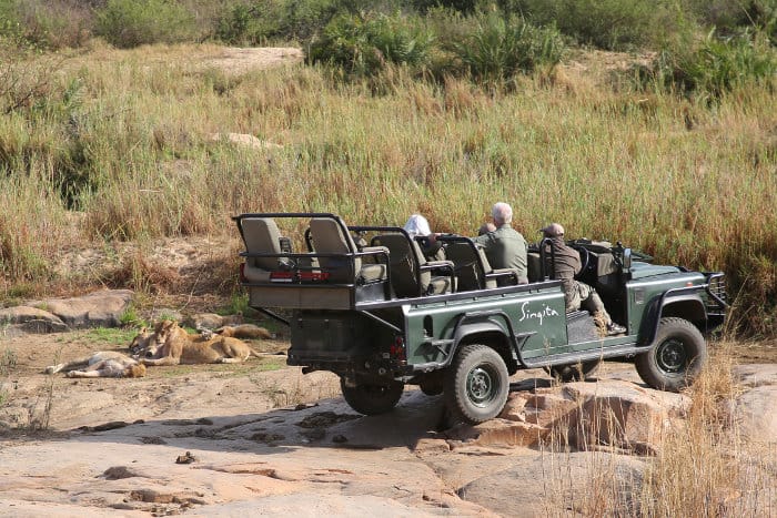 Tourists observing lions in an open safari vehicle, Sabi Sands Game Reserve, South Africa