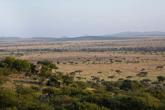 Scenic view of the Serengeti plains from the Serengeti Sopa Lodge