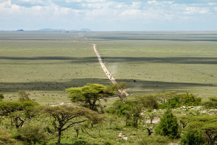 Endless plains of the Serengeti seen from a hill
