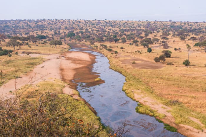 Typical Tarangire landscape with seasonal river