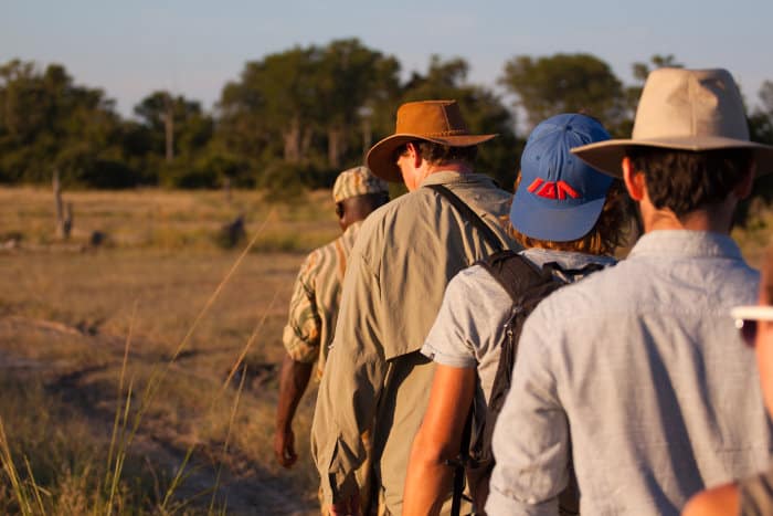 South Luangwa is the birthplace of walking safaris