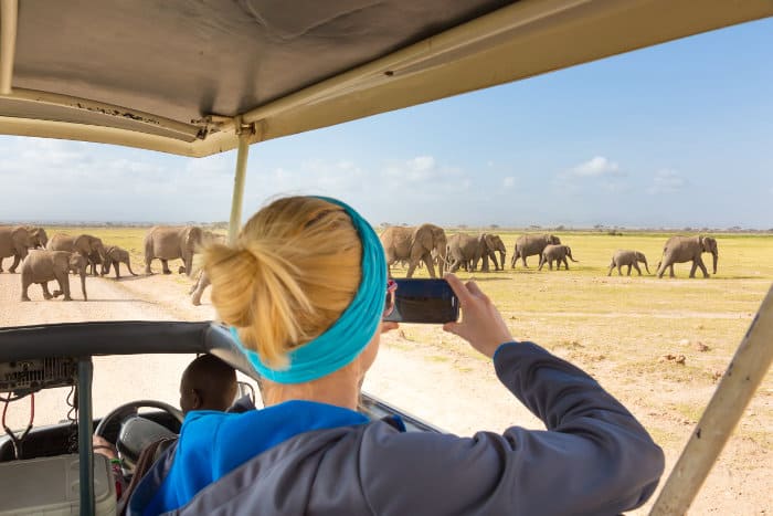Woman watching elephants in Amboseli National Park
