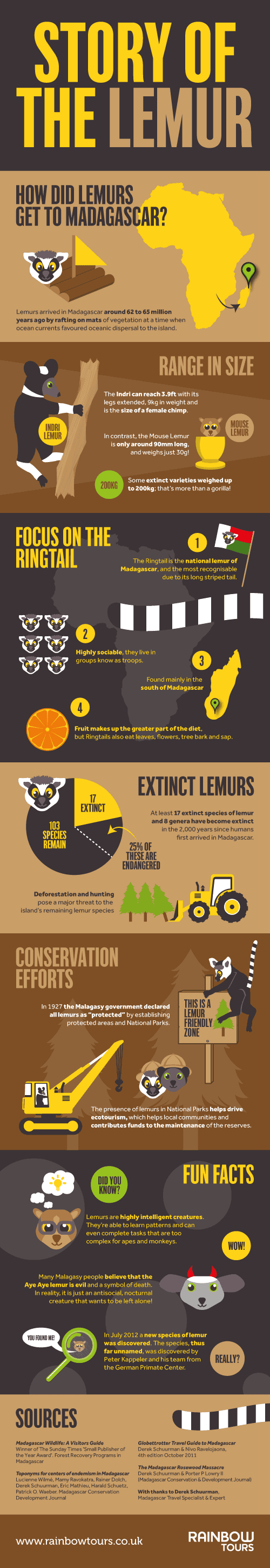 Story of the Lemur infographic