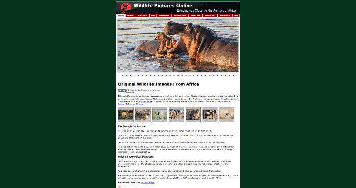 Wildlife Pictures Online Photography website screenshot